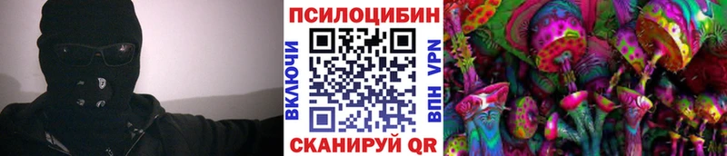 дарнет шоп  Камышлов  Галлюциногенные грибы Psilocybine cubensis 